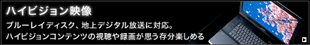 �n�C�r�W�����f��