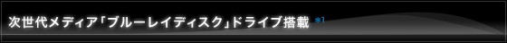 �����チ�f�B�A�u�u���[���C�f�B�X�N�v�h���C�u����*1
