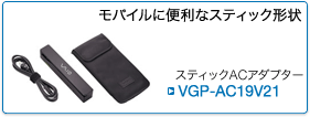 VGP-AC19V21