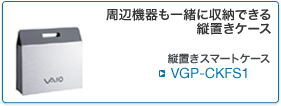 VGP-CKFS1