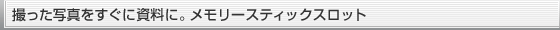 �B�����ʐ^�������Ɏ����ɁB�������[�X�e�B�b�N�X���b�g