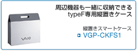 VGP-CKFS1