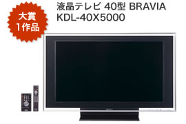 ܂Pi ter 40^ BRAVIA KDL-40X5000