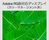 Adobe RGBΉfBXvCiJ[}l[Wgρj