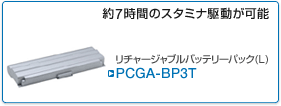 PCGA-BP3T
