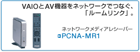 PCNA-MR1