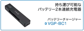 VGP-BC1