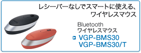 VGP-BMS30 VGP-BMS30/T