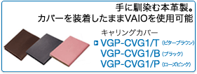VGP-CVG1