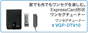 VGP-DTV10