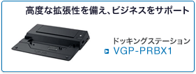 VGP-PRBX1