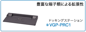 VGP-PRC1