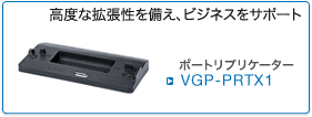 VGP-PRTX1