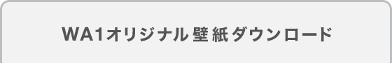 WA1ꥸʥɻ