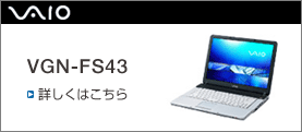 VGN-FS43