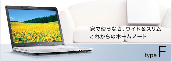 SONY VAIO type F VGN-FE31B/W