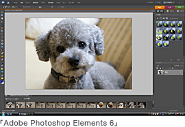 Adobe Photoshop Elements 6