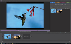 Adobe Premiere Elements 7