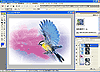 Adobe Photoshop Elements ���{���