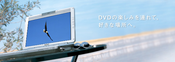 DVD̊y݂AāADȏꏊցB