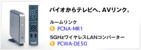 PCNA-MR1