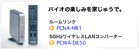 PCNA-MR1