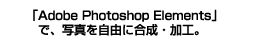 uAdobe Photoshop ElementsvŁAʐ^RɍEHB