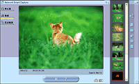 静止画やMPEG1形式の高画質での動画撮影が可能。