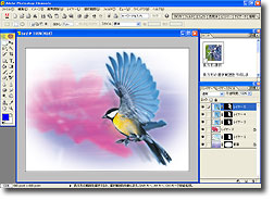 Adobe Photoshop Elements Ver.2.0