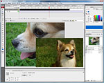 「Adobe Flash CS3 Professional」 画面写真