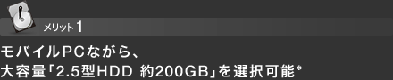 bg1 oCPCȂAeʁu2.5^HDD 200GBvI\*