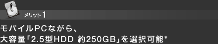 bg1 oCPCȂAeʁu2.5^HDD 250GBvI\*