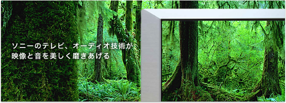 ソニーのテレビ、オーディオ技術が 映像と音を美しく磨きあげる