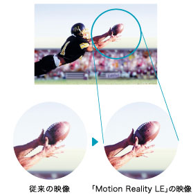 掿\tgEFAuMotion Reality LEv