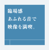 Տꊴӂ鉹ŉf𖞋iB