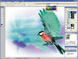 uAdobe Photoshop Elementsv