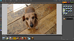 Adobe Photoshop Elements 8