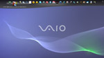 VAIO Gate