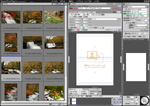 「Epson Print Plug-In for Photoshop」 画面写真